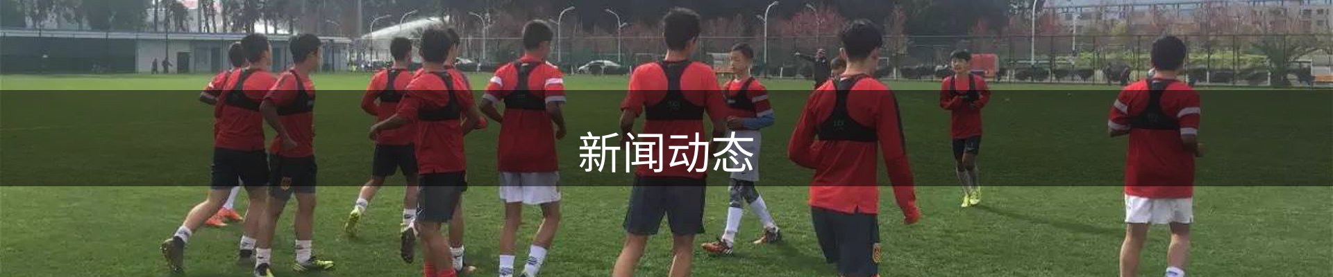 新闻动态